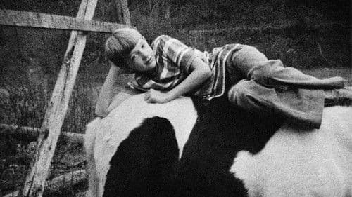 Portraits and Dreams Bild 1