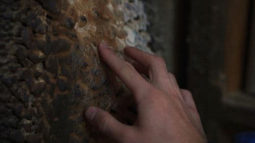 La barriga del diablo Bild 4