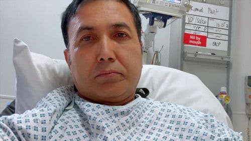 Stone Gone Life On Bild 4