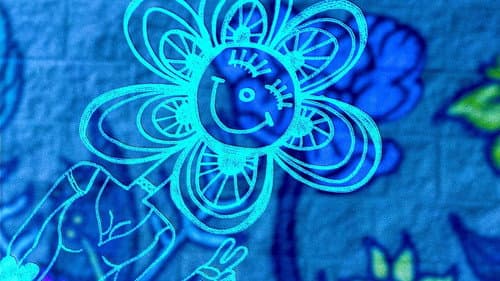 Close-Up: an oddyssey Bild 8