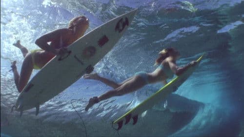 Step Into Liquid - Im Bann der Riesenwellen Bild 3