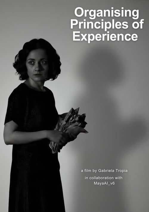 Organising Principles of Experience