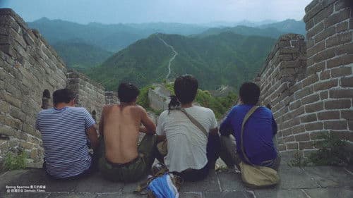 春天的麻雀 Bild 1