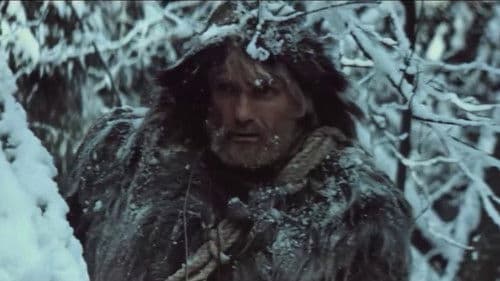 Vilkatis Toms Bild 1