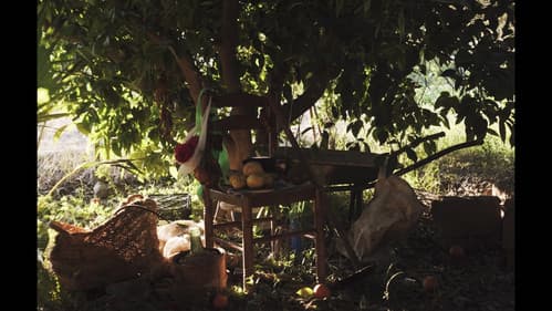 El Mapa del Agua Bild 2