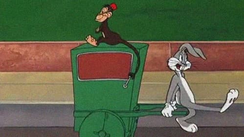 Hurdy-Gurdy Hare Bild 1