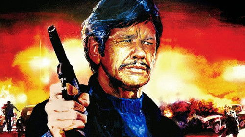 Der Liquidator Bild 2