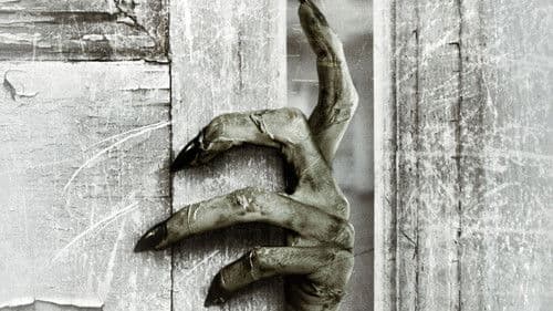 The Other Side of the Door Bild 2