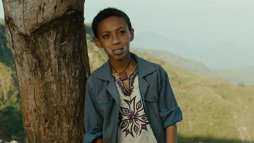 Ephraim und das Lamm Bild 1