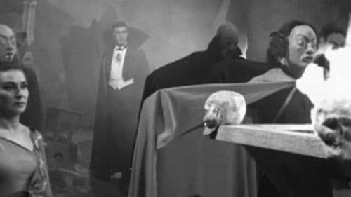 El mundo de los vampiros Bild 5