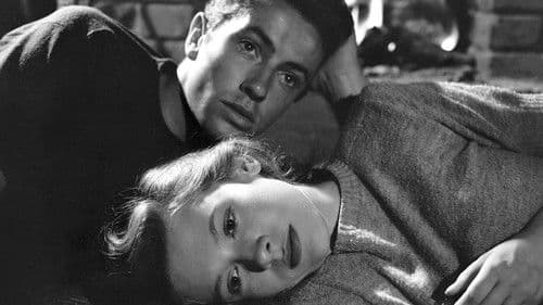 Sie leben bei Nacht Bild 3