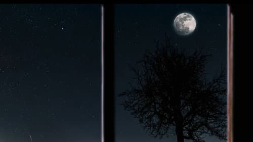 Moon Town Bild 1