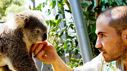 Wild Life At The Zoo Bild 1