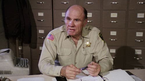 Highway Cowboy Bild 3