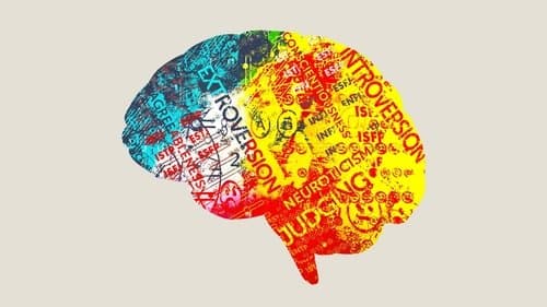 Persona: The Dark Truth Behind Personality Tests Bild 1