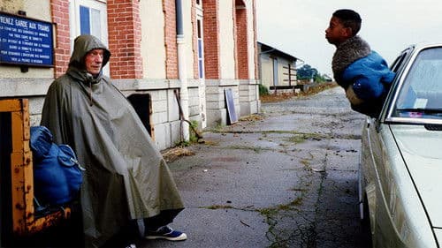 IP5 - Insel der Dickhäuter Bild 1