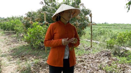 A Hundred Years of Happiness Bild 1