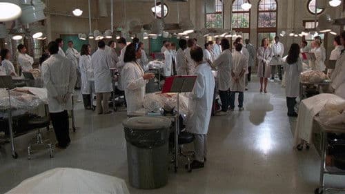 Liebe, Stress und Fieberkurven Bild 3