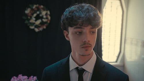 O Elefante na Sala Bild 3