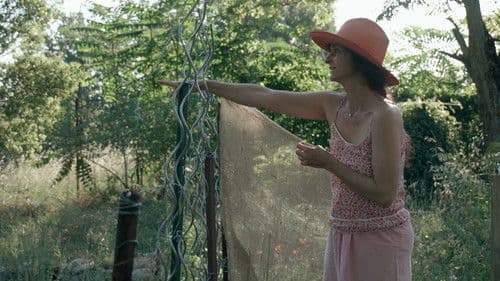 Trois oiseaux bleus Bild 6