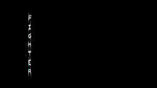 FIGHTER Bild 2