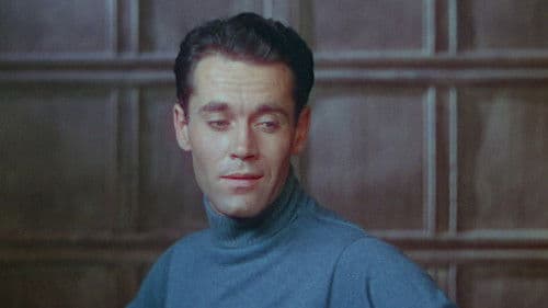 Zigeunerprinzessin Bild 2