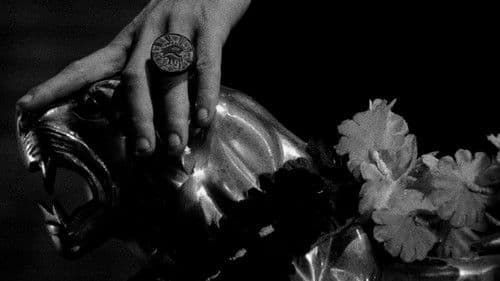 Nuestra amiga la luna Bild 1