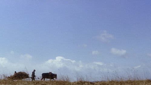 Zatoichi's Revenge Bild 4