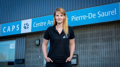 Refuge animal Bild 4