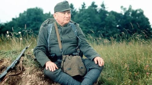 Die Abenteuer des braven Soldaten Schwejk Bild 1