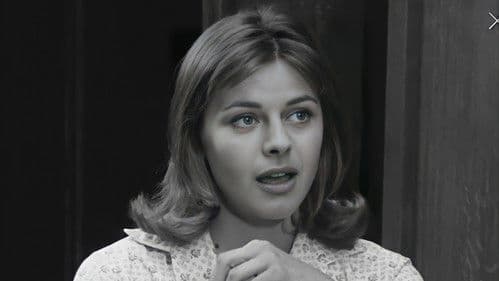 Im Zeichen des Löwen Bild 2