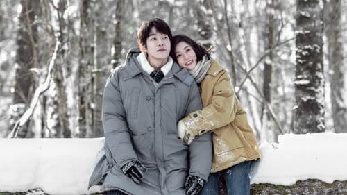 在你的冬夜里闪耀 Bild 1