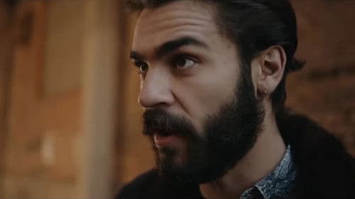 Welcome to the Show Bild 1