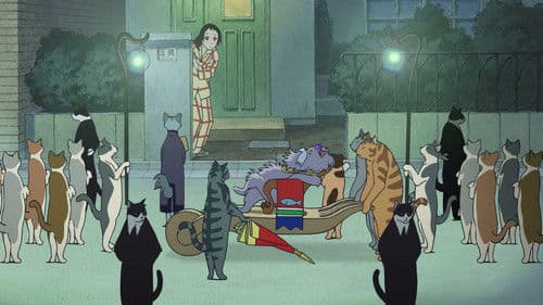 Das Königreich der Katzen Bild 8