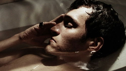 Doc's Kingdom Bild 3