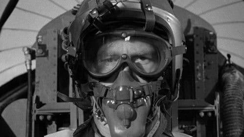 Unternehmen Pelikan Bild 2