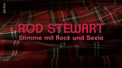 Rod Stewart, Stimme mit Rock und Seele Bild 4