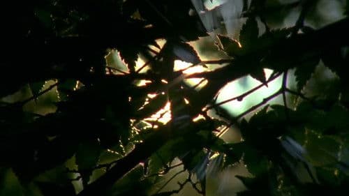 Spectral Ascension Bild 2