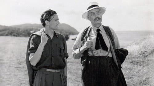 An die Freude Bild 7