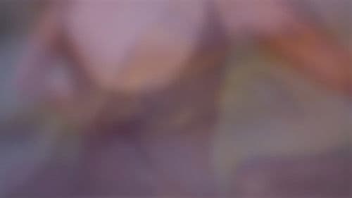 Finding Vision, Finding Voice Bild 1