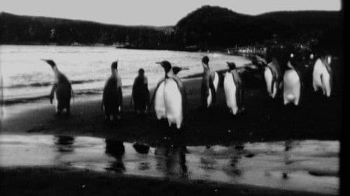 End of Summer Bild 1