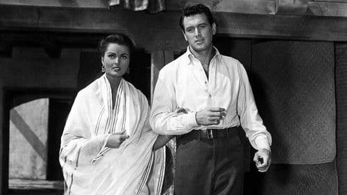 Gewehre für Bengali Bild 1