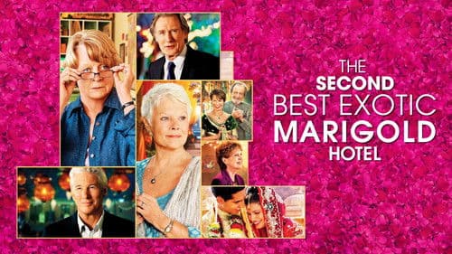 Best Exotic Marigold Hotel 2 Bild 8