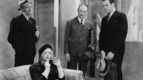 Traveling Saleslady Bild 3