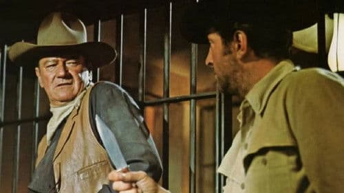 Die vier Söhne der Katie Elder Bild 8