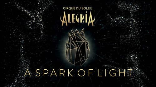 Alegría - A Spark of Light Bild 1
