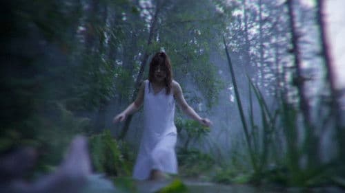 V.C. Andrews' Hidden Jewel Bild 4