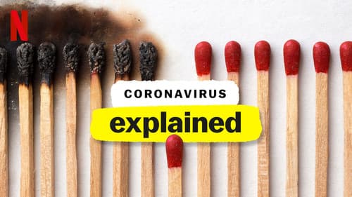 Coronavirus, Explained Bild 4
