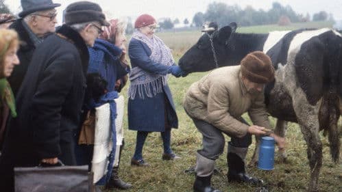 Prognoza pogody Bild 4