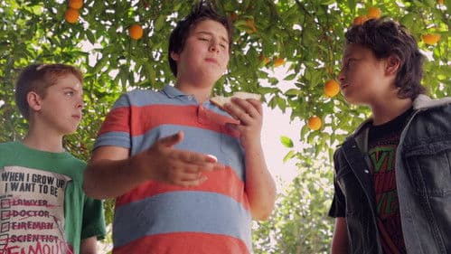 How to Beat a Bully Bild 1